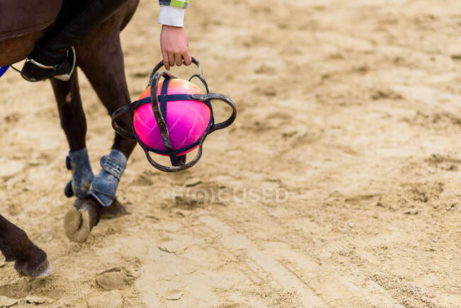 Cropped unrecognizable teen jockey playing with ball on sandy ground from back of brown horse during lesson in equestrian school — Stock Photo