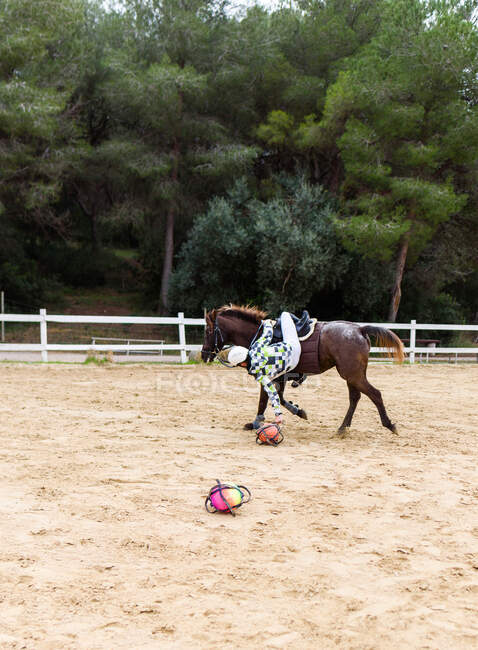 Adolescente jockey com bola de treinamento caindo em solo arenoso de costas de cavalo marrom durante a lição na escola equestre — Fotografia de Stock