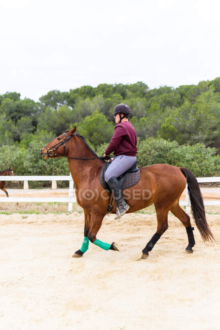 Вид сбоку мальчика-подростка в шлеме, катающегося на коричневой лошади на манеже во время тренировки в конной школе — стоковое фото