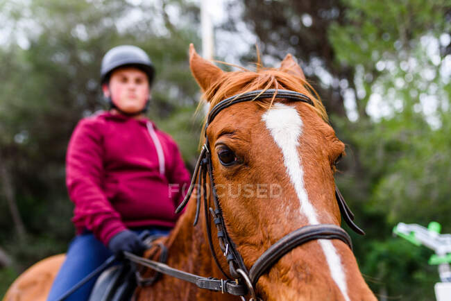Obbediente cavallo castagno con adolescente in sovrappeso sul retro in piedi su sfondo sfocato di alberi verdi durante l'allenamento sull'arena dressage — Foto stock