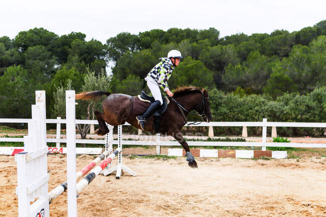 Vista lateral do menino adolescente no capacete sentado no cavalo e pulando sobre o obstáculo durante o treinamento na arena de curativo da escola equestre — Fotografia de Stock