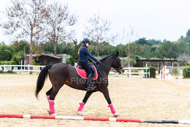 Teen Girl Jockey im Helm reitet braunes Pferd unter Ästen auf Dressurviereck während des Trainings in der Reitschule — Stockfoto