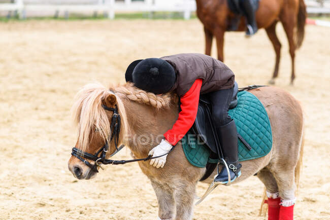 Side view of unrecognizable child in jockey costume sitting in saddle and hugging roan pony with braided mane during lesson in horseback riding school — Stock Photo