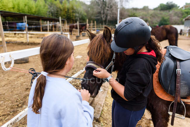 Adolescentes se comunicando com cavalo marrom enquanto estão perto da cerca de paddock durante a aula na escola equestre — Fotografia de Stock