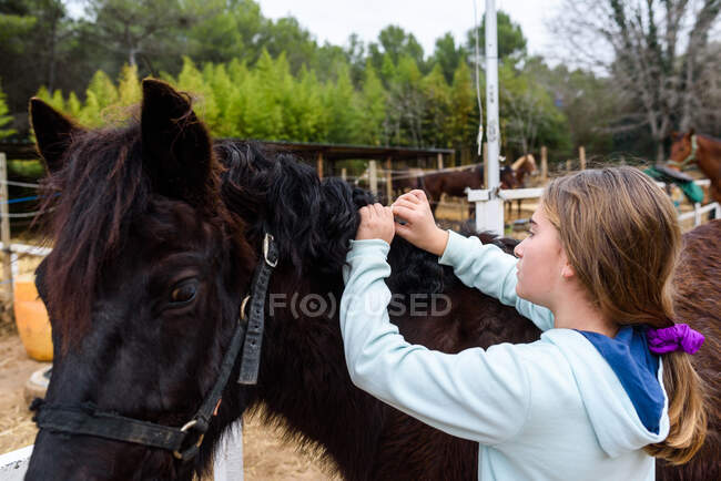 Дівчина-підліток з доглянутими руками плете чорну гриву затонулого коня, проводячи час на ранчо — стокове фото