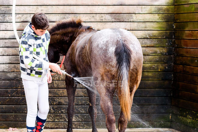 Adolescent garçon à l'aide de tuyau pour laver manteau de cheval roan contre mur en bois de stalle après équitation leçon d'équitation dans l'école équestre — Photo de stock