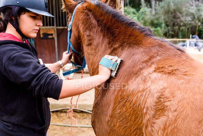 Visão lateral da menina adolescente no capacete de jóquei escovando casaco de cavalo de baía enquanto estava em paddock após a lição na escola equestre — Fotografia de Stock