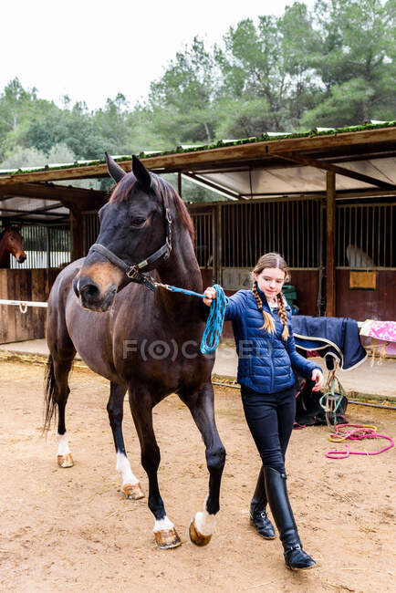 Full body teen jockey puxando rédeas de cavalo marrom enquanto caminhava no chão arenoso da arena de curativo durante a aula na escola equestre — Fotografia de Stock