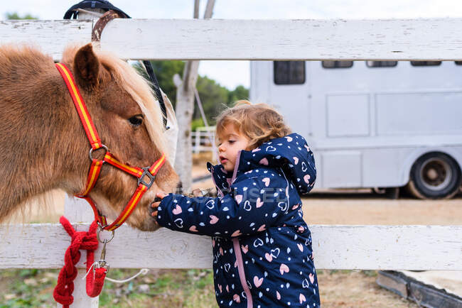 Side view of cute toddler in outerwear touching muzzle of adorable pony while standing near paddock barrier on ranch — Stock Photo