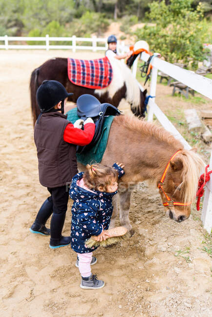 Von oben Junge mit Helm befestigt Sattel auf Pony, während er in der Koppel neben der kleinen Schwester vor dem Ausritt steht — Stockfoto