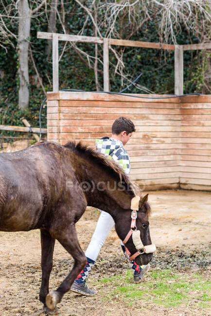 Повне тіло хлопчика-хлопчика, який тягне ручки коричневого коня під час прогулянки грязьовим майданчиком виїзної арени під час уроку в кінній школі — стокове фото