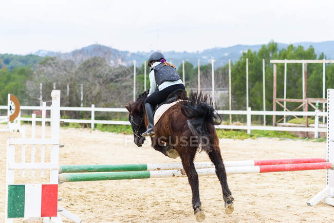 Обратный вид на неузнаваемую девушку-подростка в шлеме, сидящую на коне и прыгающую через препятствие во время тренировки на арене выездки конной школы — стоковое фото