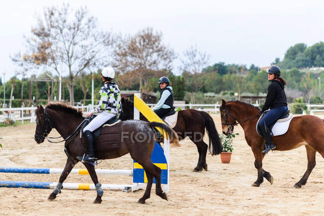 Teen Jockeys in Helmen kommunizieren miteinander, während sie gehorsame Pferde auf sandigem Dressurviereck während des Unterrichts in der Reitschule reiten — Stockfoto