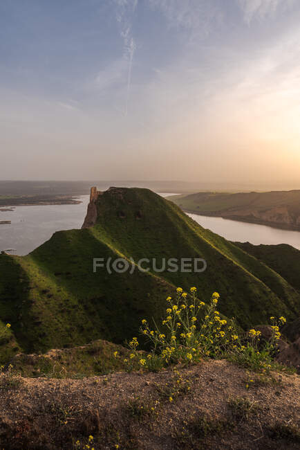 Kleine gelbe Blumen wachsen auf einem grünen, grasbewachsenen Hügel in friedlicher Natur in der Nähe von alten Turmruinen auf einer Landschaft bei Sonnenuntergang mit einem See im Hintergrund — Stockfoto