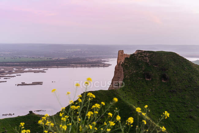 Flores amarelas pequenas que crescem de encontro à colina ervosa verde na natureza pacífica perto das ruínas antigas da torre em uma paisagem do seacoast — Fotografia de Stock