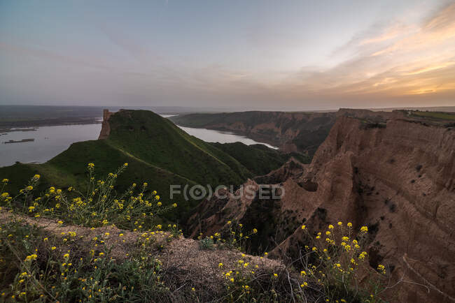 Small yellow flowers growing against green grassy hill in peaceful nature near ancient tower ruins on a sunset landscape with lake on the background — Stock Photo