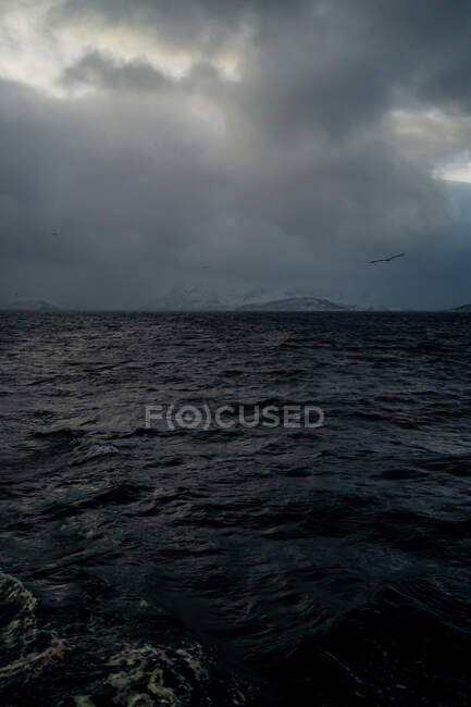 Sea water with birds flying in gray cloudy sky against snowy mountain shoreline in winter in Norway — Stock Photo