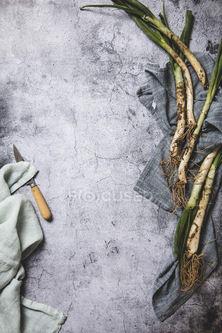 Vista superior de racimo de cebolla calsot sucia madura colocada en bandeja y paño de lino sobre mesa de madera cerca de cuchillo en Cataluña, España - foto de stock