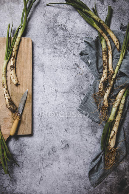 Vista dall'alto di un mazzo di cipolla matura sporca posta su vassoio e panno di lino sul tavolo di legno vicino al coltello in Catalogna, Spagna — Foto stock