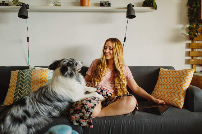 Позитивна жінка з планшетом, що посміхається і пестить милу Коллі, сидячи на зручному дивані вдома. — стокове фото