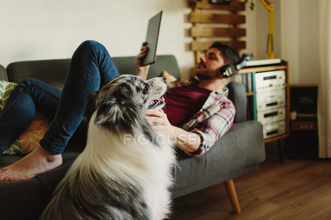 Cute fluffy Collie looking away while standing on blurred background of resting male owner at home — Stock Photo