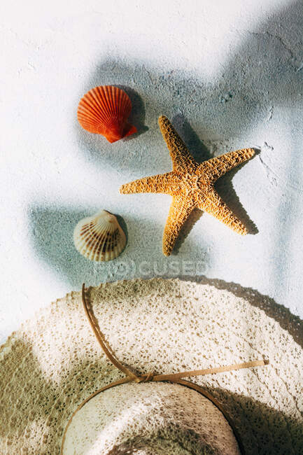 Sombrero de moda cerca de conchas marinas y estrellas de mar para el concepto de vacaciones de verano en la superficie de yeso - foto de stock