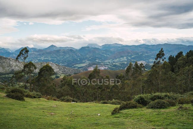 Majestosa vista de belo vale verde exuberante com árvores e grama colorida contra montanhas altas nubladas pitorescas e céu nublado em Alicante, na Espanha — Fotografia de Stock