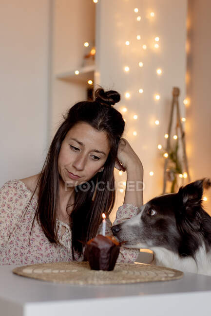 Vista lateral de la hembra encantada sentada en la mesa con magdalena y celebrando cumpleaños junto con border collie mientras se queda en casa durante la cuarentena - foto de stock