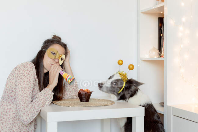 Side view of female with party mask and blower sitting at table with muffin and celebrating birthday with border collie during coronavirus pandemic — Stock Photo
