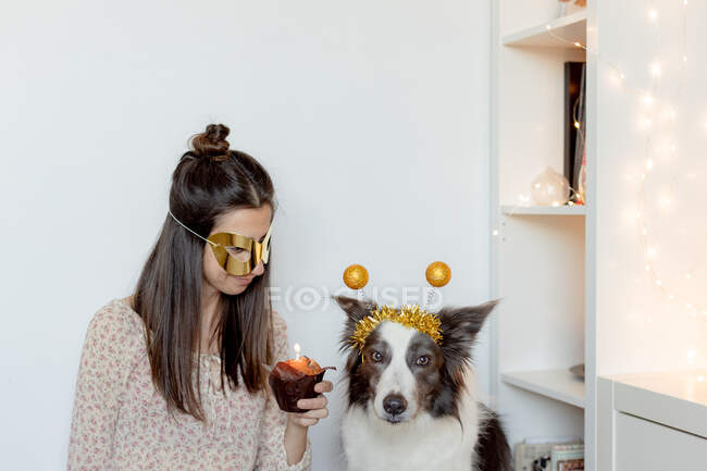 Side view of female with party mask and blower sitting at table with muffin and celebrating birthday with border collie during coronavirus pandemic — Stock Photo