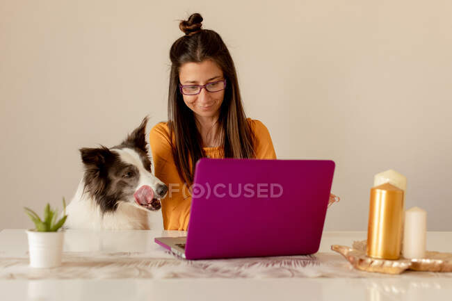 Mujer alegre jugando con el perro en casa - foto de stock