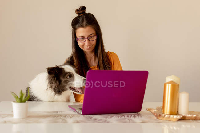 Cheerful woman playing with dog at home — Stock Photo