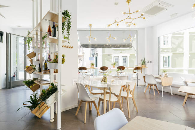 Інтер'єр просторого світлого сучасного ресторану з великими вікнами, прикрашеними екзотичними рослинами і затишними стільцями за столами під творчими підвісними лампами — стокове фото