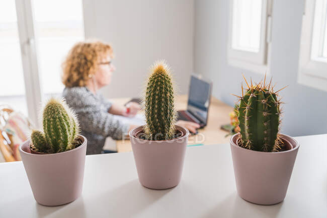 Vue latérale de la femme adulte en vêtements décontractés travaillant sur ordinateur portable dans les écouteurs dans la chambre décorée de cactus dans des pots en céramique — Photo de stock