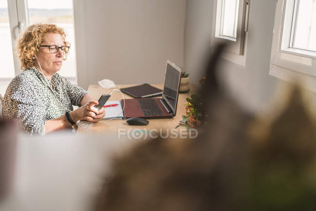 Вид сбоку на взрослую женщину в повседневной одежде, работающую на ноутбуке в наушниках в комнате, украшенной кактусами в керамических горшках — стоковое фото