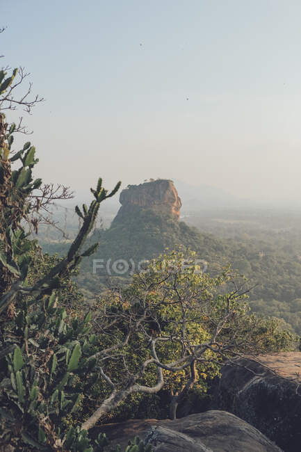 Paysage à couper le souffle de l'ancienne forteresse rocheuse entourée de forêt et située au Sri Lanka — Photo de stock