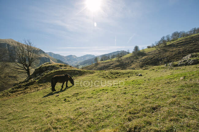 Majestuoso paisaje soleado de montañas y verdes campos en las tierras altas de Cantabria - foto de stock