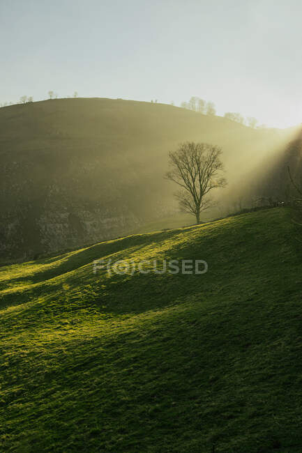 Живописный вид на зеленые холмы при ярком солнечном свете — стоковое фото