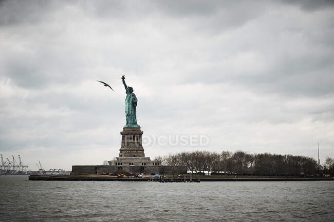 Низькокутний вид знаменитої Статуї Свободи в Нью-Йорку проти сірого з покриттям неба з птахами, що літають неподалік. — стокове фото