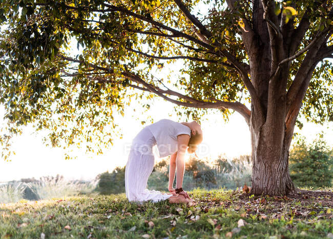 Side view of young distance lady in white clothes standing in camel position while practice yoga in green field in park on sunny evening — Stock Photo