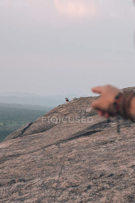Viajante masculino de culturas irreconhecível com pulseiras na mão apontando o dedo à distância águia da montanha em pé no penhasco durante o pôr do sol na noite de verão no Sri Lanka — Fotografia de Stock