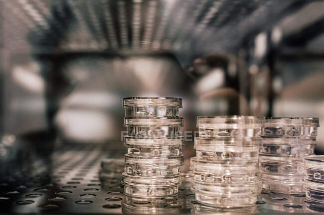 Pilhas de placas de Petri com embriões fertilizados colocados dentro da geladeira na clínica contemporânea — Fotografia de Stock