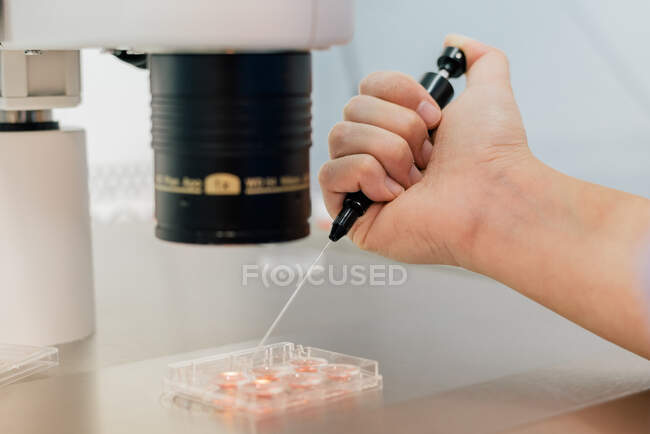 From above cropped unrecognizable doctor hand injecting ovum on Petri dish and examining cell through microscope in laboratory of modern fertility clinic — Stock Photo
