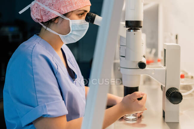De arriba el médico en la máscara médica y uniforme inyectando el óvulo en la placa de Petri y examinando la célula a través del microscopio en el laboratorio de la clínica moderna de la fertilidad - foto de stock