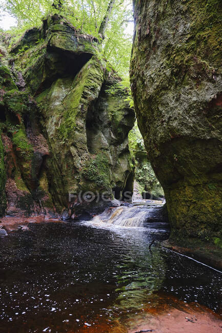 Mossy green cliffs with water stream — Stock Photo