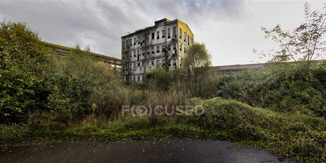 Wide angle view of lonely aged stone industrial building with shabby gray walls located among green bushes against cloudy sky in Asturias in Spain — Stock Photo