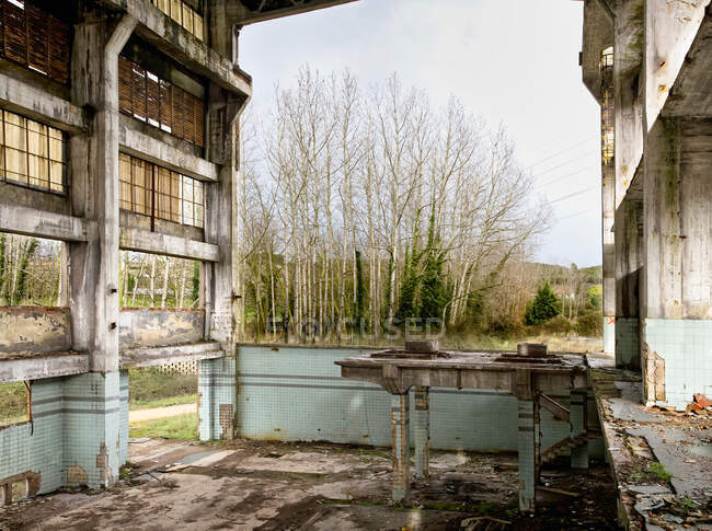 Ruinas de antiguo taller industrial descuidado con paredes de mala calidad y banco de trabajo situado contra el bosque de primavera sin hojas en Asturias en España - foto de stock