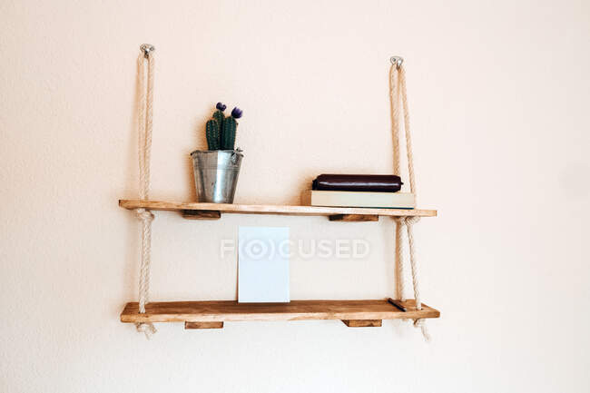 Rustic wooden shelf with houseplant and books in composition with blank white sheet of paper as mockup of photo hanging with cord on metal hooks on light beige wall of light apartment — Stock Photo