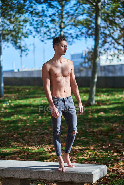 Atleta maschio senza maglietta a corpo intero in jeans strappati in piedi su una panchina di cemento e distogliendo lo sguardo durante la soleggiata giornata autunnale nel parco — Foto stock