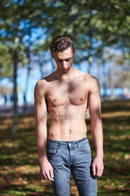 Atleta masculino sin camisa en jeans rasgados de pie en un banco de concreto y mirando hacia abajo durante el soleado día de otoño en el parque - foto de stock